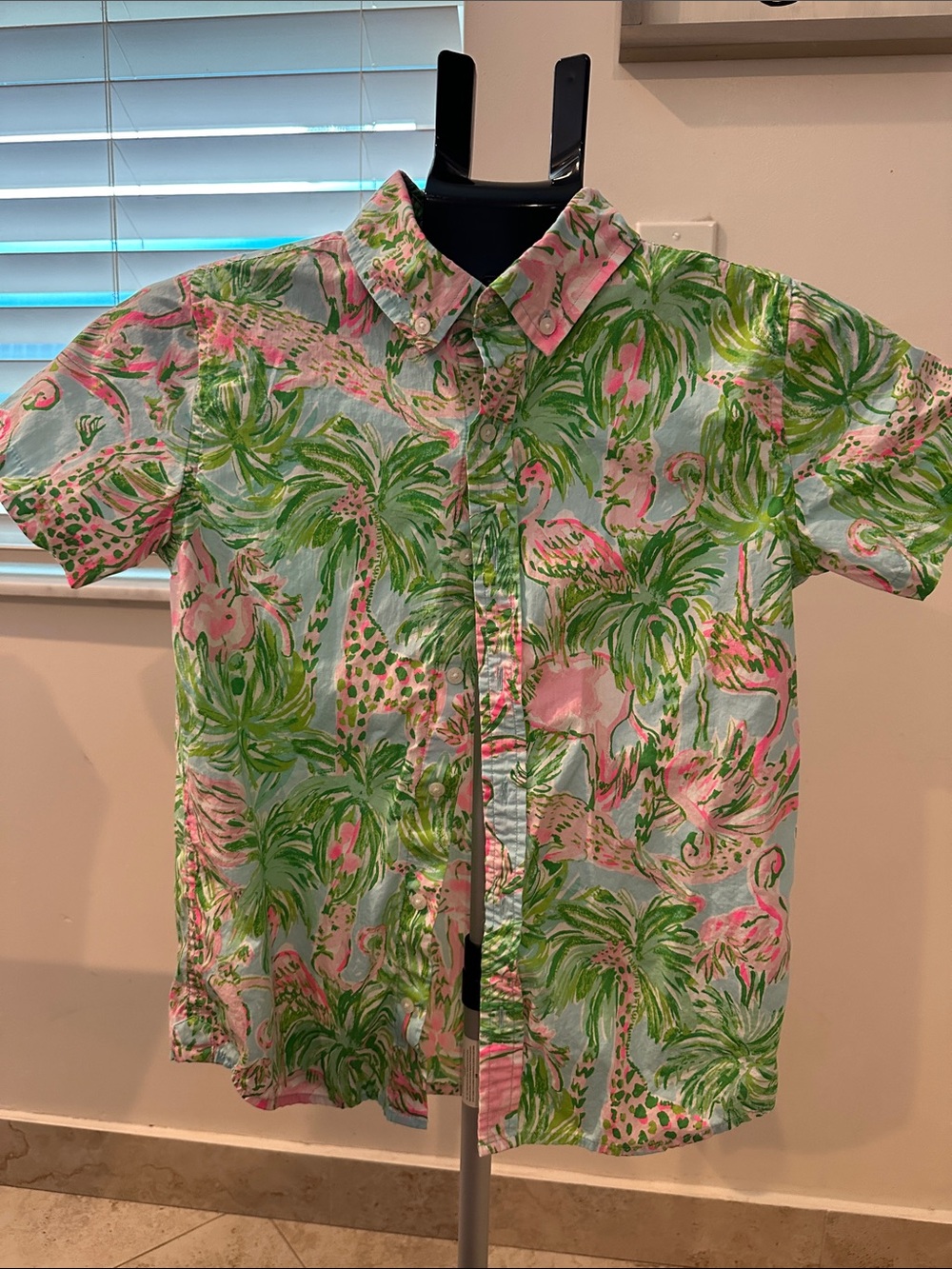 Lilly Pulitzer Boys Pink & Green Tropical Button-Down Shirt
